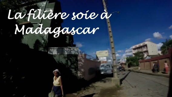 La filière soie à Madagascar