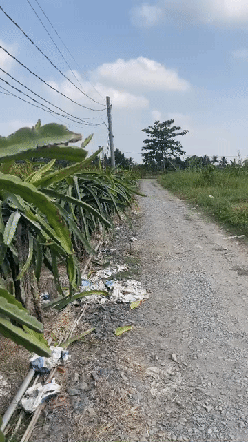 Mua bán Đất Huyện Châu Thành Long An diện tích 793 m² giá 750 triệu