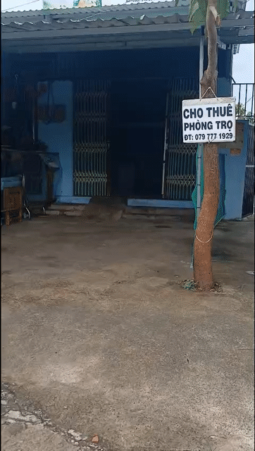 Cho thuê Phòng trọ Huyện Nhà Bè Tp Hồ Chí Minh diện tích 43 m² giá 3,7 triệu/tháng