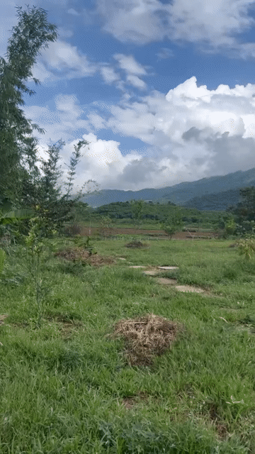 Mua bán Đất Huyện Đông Giang Quảng Nam diện tích 1600 m² giá 2,45 tỷ