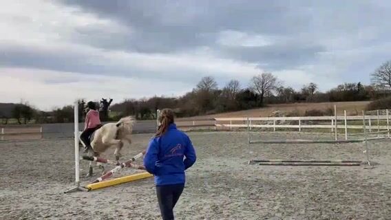 Professeur d'équitation