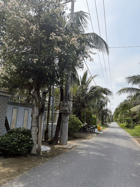 Mua bán Đất Thành phố Mỹ Tho Tiền Giang diện tích 41.7 m² giá 330 triệu