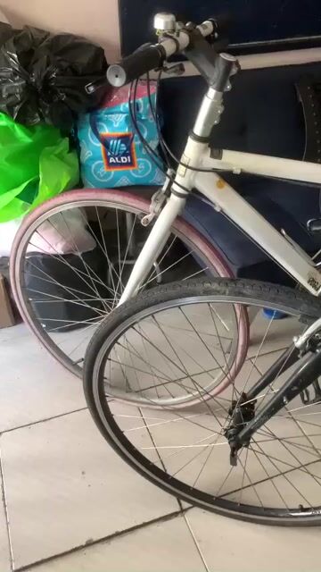 XE NHẬT RITEWAY SHEPHERD, POPPEL GANGER, GIANT. Mua bán Xe đạp tại Quận 3 Tp Hồ Chí Minh được đăng bởi daumycom hình 1