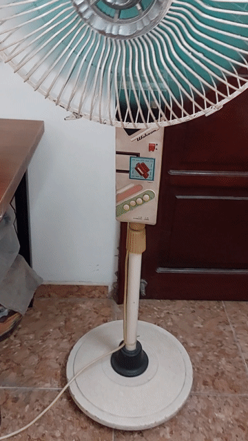 Quạt cây Watson Gang, sắt. Mua bán Quạt tại Quận Long Biên Hà Nội được đăng bởi Nguyenthuat hình 1