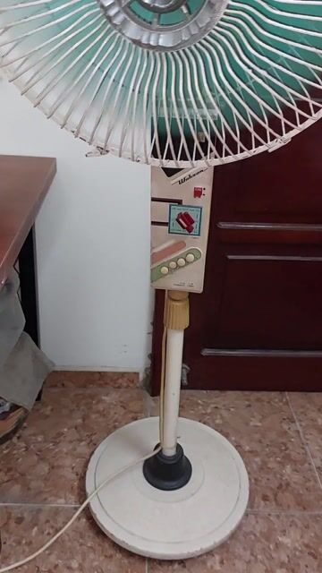 Quạt cây Watson Gang, sắt. Mua bán Quạt tại Quận Long Biên Hà Nội được đăng bởi Nguyenthuat hình 1