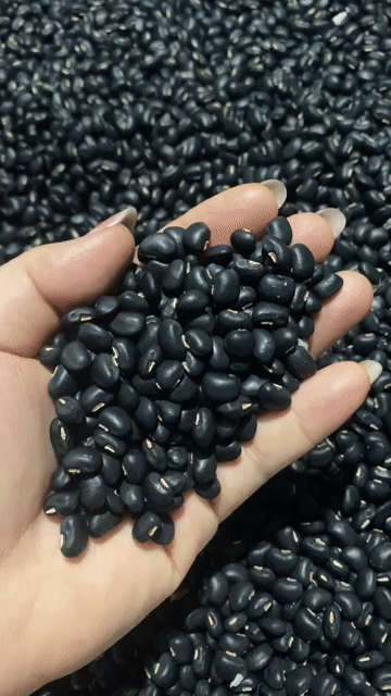 Đậu đen xanh lòng. Mua bán Đồ ăn, thực phẩm và các loại khác tại Quận Bình Thuỷ Cần Thơ được đăng bởi Thái Chân hình 1