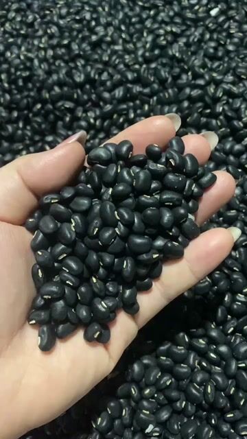 Đậu đen xanh lòng. Mua bán Đồ ăn, thực phẩm và các loại khác tại Quận Bình Thuỷ Cần Thơ được đăng bởi Thái Chân hình 1