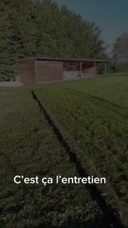 Entretien VS Création