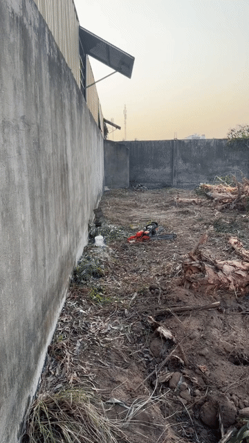 Mua bán Đất Huyện Bình Chánh Tp Hồ Chí Minh diện tích 1150 m² giá 6,999 tỷ