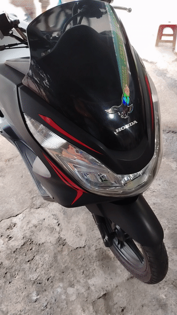 Honda PCX 2015 Đen nhám Đã sử dụng. Mua bán Xe máy tại Quận Bình Thạnh Tp Hồ Chí Minh được đăng bởi Đại Phú hình 1
