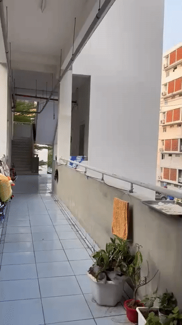 Mua bán Căn hộ Chung cư Nhà ở xã hội Becamex Định Hòa Thành phố Thủ Dầu Một Bình Dương diện tích 30 m² giá 580 triệu