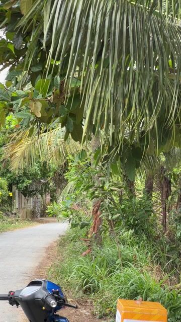 wave Nhật 54 full Releo Chính chủ. Mua bán Xe máy tại Thành phố Trà Vinh Trà Vinh được đăng bởi Ah Xanh SM hình 1