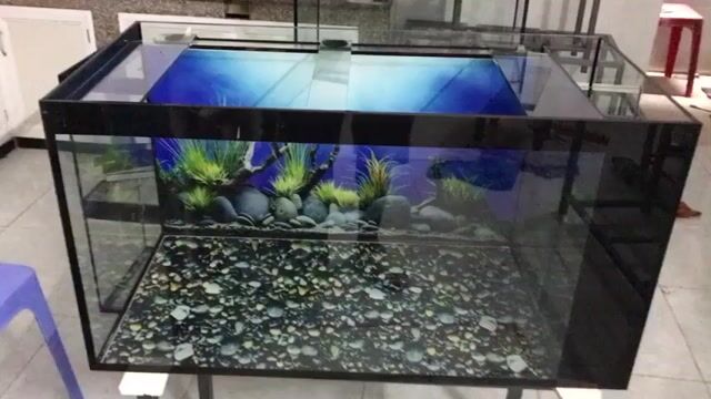 HỒ CÁ  LỌC VÁCH. HỒ CÁ GIÁ RẺ , BỂ CÁ GIÁ RẺ. Mua bán Phụ kiện, Thức ăn, Dịch vụ tại Quận Gò Vấp Tp Hồ Chí Minh được đăng bởi ĐỨC TUẤN hình 1