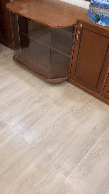 Mua bán Căn hộ Chung cư Chung cư Tôn Thất Thuyết Quận 4 Tp Hồ Chí Minh diện tích 52 m² giá 3,85 tỷ