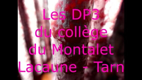 Dans le cochon, tout est bon!