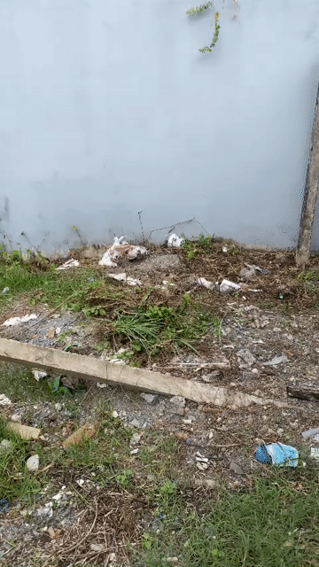 Mua bán Đất Thành phố Thủ Dầu Một Bình Dương diện tích 288 m² giá 6,3 tỷ