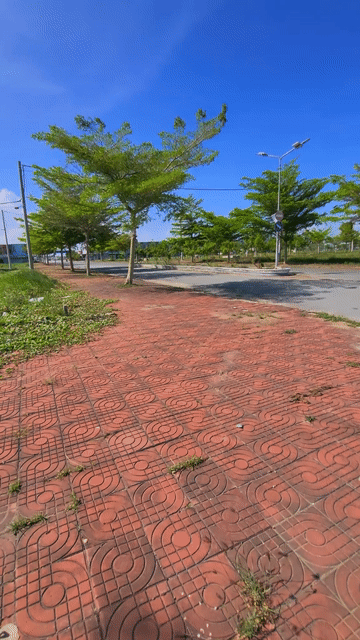 Mua bán Đất Thành phố Sóc Trăng Sóc Trăng diện tích 100.8 m² giá 1,05 tỷ