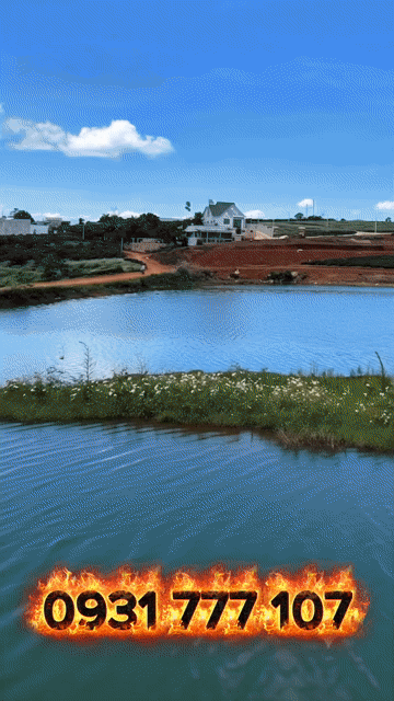 Mua bán Đất Huyện Di Linh Lâm Đồng diện tích 500 m² giá 2,2 tỷ