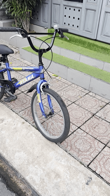 Xe đạp trẻ em Asama Thép 20 inch Xanh. Mua bán Xe đạp tại Thành phố Thủ Đức Tp Hồ Chí Minh được đăng bởi Mr Phi Nguyen  hình 1