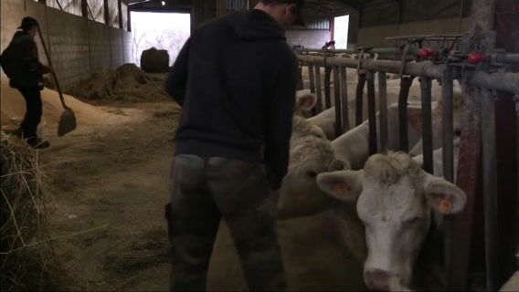 un métier, une passion agricole