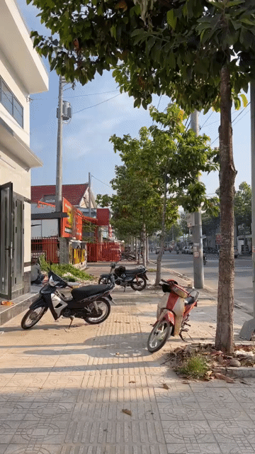 Cho thuê Văn phòng, Mặt bằng kinh doanh Thành phố Vĩnh Long Vĩnh Long diện tích 210 m² giá 10 triệu/tháng