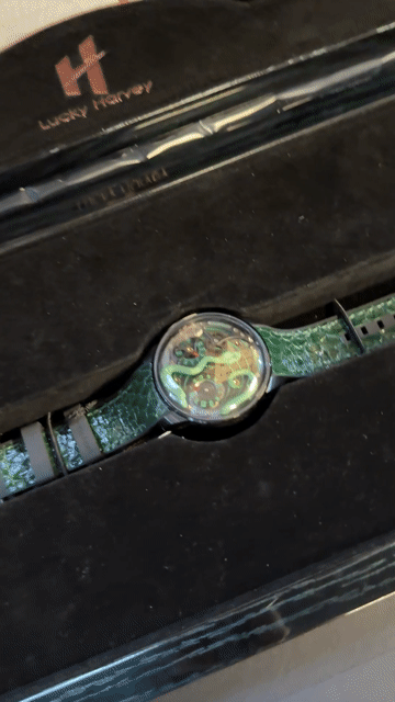 Đồng hồ Lucky Harvey Snake Nam Thép. Mua bán Đồng hồ tại Quận 10 Tp Hồ Chí Minh được đăng bởi Đinh Mai Ngọc hình 1