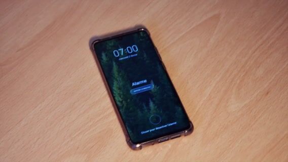 [B]orn [T]o [S]ell Fish !