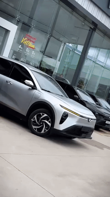 VinFast Limo Green Xe Sẵn Giao Ngay Giá Ưu Đãi. Mua bán Ô tô tại Thành phố Thủ Đức Tp Hồ Chí Minh được đăng bởi VINFAST MIỀN NAM hình 1
