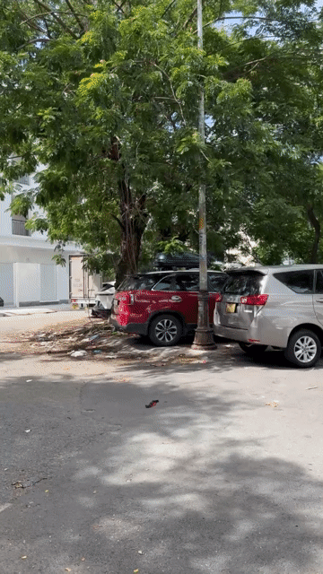 Cho thuê Văn phòng, Mặt bằng kinh doanh Thành phố Thủ Đức Tp Hồ Chí Minh diện tích 100 m² giá 12 triệu/tháng