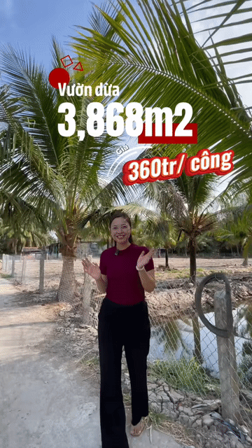 Mua bán Đất Huyện Tân Phú Đông Tiền Giang diện tích 3868 m² giá 1,39 tỷ