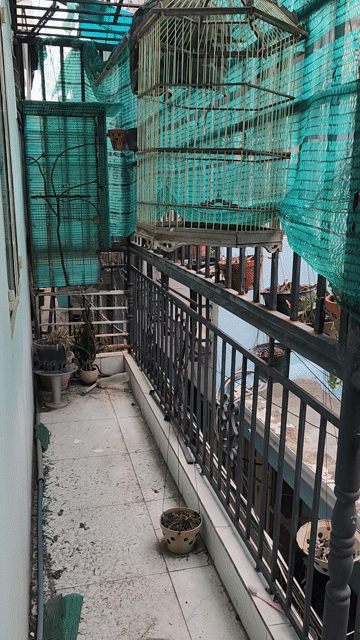 Mua bán Nhà ở Quận Gò Vấp Tp Hồ Chí Minh diện tích 22 m² giá 2,2 tỷ