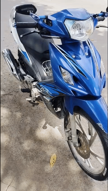 Suzuki Axelo 125 côn tay máy rin gtdd bs65. Mua bán Xe máy tại Quận Cái Răng Cần Thơ được đăng bởi Đồng Hành  hình 1