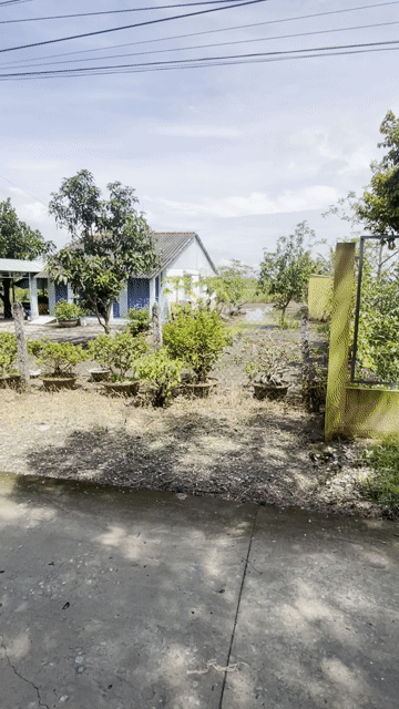 Mua bán Đất Huyện Gò Công Đông Tiền Giang diện tích 520 m² giá 999 triệu