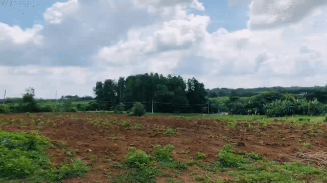 Mua bán Đất Huyện Long Thành Đồng Nai diện tích 82000 m² giá 205 tỷ
