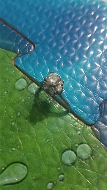 Nhẫn nữ bạc hoa mai. Mua bán Phụ kiện thời trang khác tại Huyện Bình Chánh Tp Hồ Chí Minh được đăng bởi Minh Thư hình 1