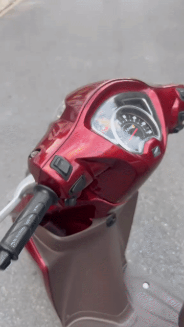 Honda Vision 2019 Đỏ đen Smartkey mọ len len 95%. Mua bán Xe máy tại Thành phố Thủ Đức Tp Hồ Chí Minh được đăng bởi Nguyễn Thanh Bình hình 1