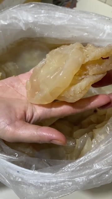 Sứa ăn liền Sứa chân mèo. Mua bán Đồ ăn, thực phẩm và các loại khác tại Quận 8 Tp Hồ Chí Minh được đăng bởi Tống Hellen hình 1