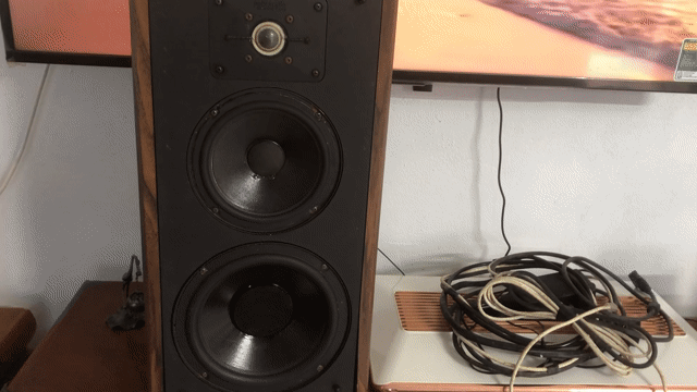 Loa Polk Audio Monitor Series Nâu đen mỹ xịn. Mua bán Tivi, Âm thanh tại Thành phố Cẩm Phả Quảng Ninh được đăng bởi thanh lý hình 1