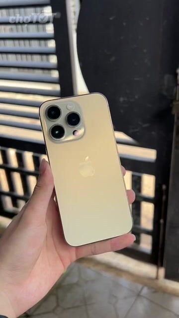 iPhone 14 Pro 256GB Gold. Mua bán Điện thoại tại Thành phố Biên Hòa Đồng Nai được đăng bởi Vũ Nhật Duy Anh hình 1