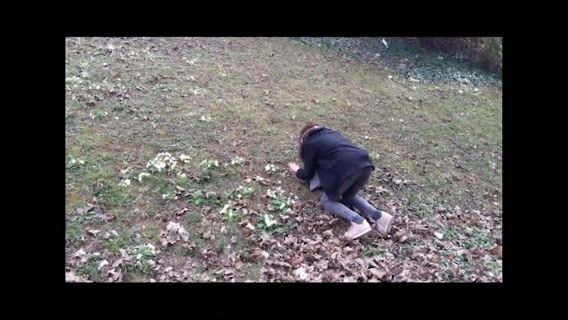 Au pays des rêves ...