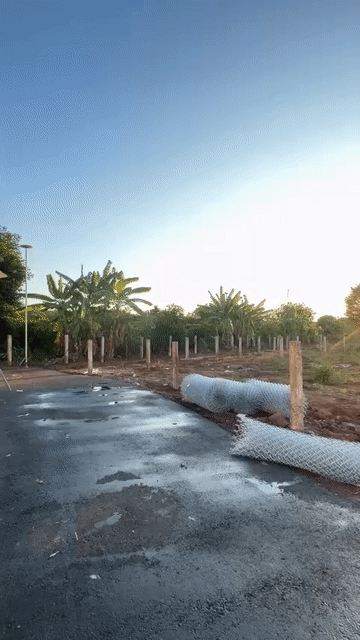 Mua bán Đất Huyện Châu Đức Bà Rịa - Vũng Tàu diện tích 147.6 m² giá 920 triệu