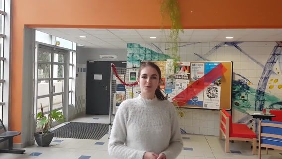 Présentation IUT GEA Draguignan