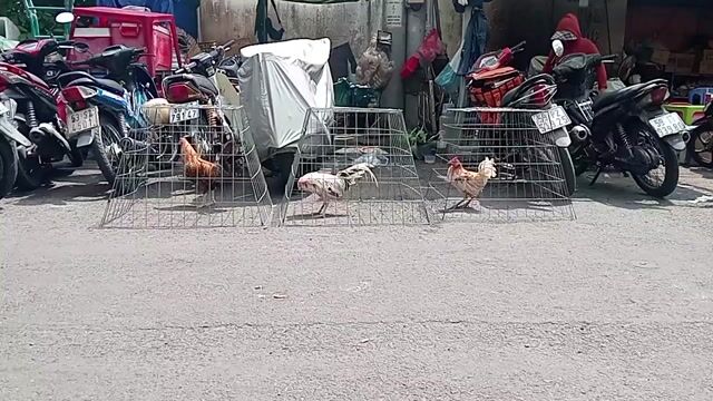 Bội tháp Kim loại Xếp gọn đã qua sử dụng. Mua bán Phụ kiện, Thức ăn, Dịch vụ tại Quận 1 Tp Hồ Chí Minh được đăng bởi Hoàng Phúc hình 1