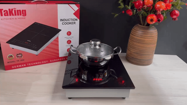 Bếp Từ Đơn Âm TaKing 209I Thiết Kế Nhỏ Gọn. Mua bán Bếp, lò, đồ điện nhà bếp tại Quận Ngũ Hành Sơn Đà Nẵng được đăng bởi NỘI THẤT TRỌN GÓI GIA ĐÌNH PHÁT hình 1