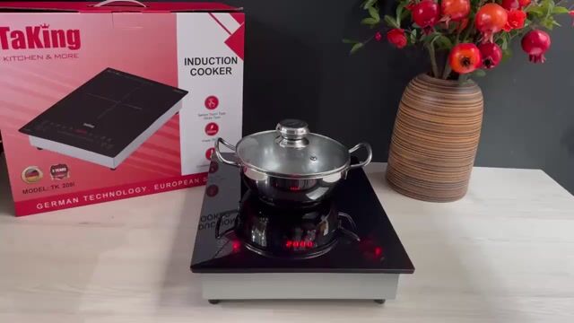 Bếp Từ Đơn Âm TaKing 209I Thiết Kế Nhỏ Gọn. Mua bán Bếp, lò, đồ điện nhà bếp tại Quận Ngũ Hành Sơn Đà Nẵng được đăng bởi NỘI THẤT TRỌN GÓI GIA ĐÌNH PHÁT hình 1