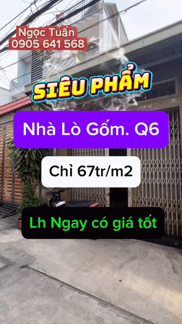 Cho thuê Nhà ở Quận 6 Tp Hồ Chí Minh diện tích 244 m² giá 20 triệu/tháng