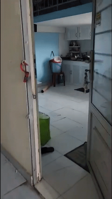 Mua bán Căn hộ Chung cư Nhà ở xã hội Becamex Định Hòa Thành phố Thủ Dầu Một Bình Dương diện tích 30 m² giá 385 triệu