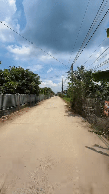 Mua bán Đất Huyện Tân Trụ Long An diện tích 55 m² giá 290 triệu