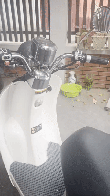 Honda Scoopy CREA 50cc Trắng Xanh lá 5000 km. Mua bán Xe máy tại Quận Hải An Hải Phòng được đăng bởi LONG XINGFU hình 1