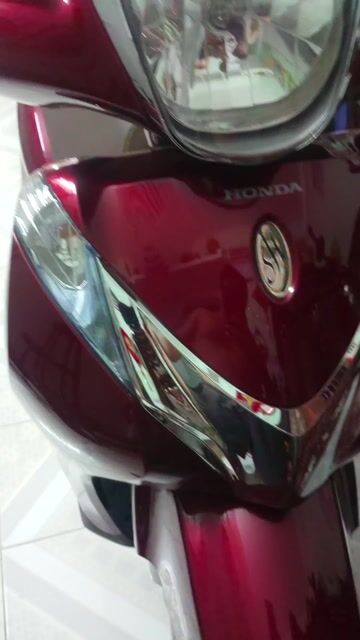 Bán xe sh mode như hình dòng bỏ mẫu còn bão hành. Mua bán Xe máy tại Huyện Châu Thành Tiền Giang được đăng bởi Hoàng Dung  hình 1